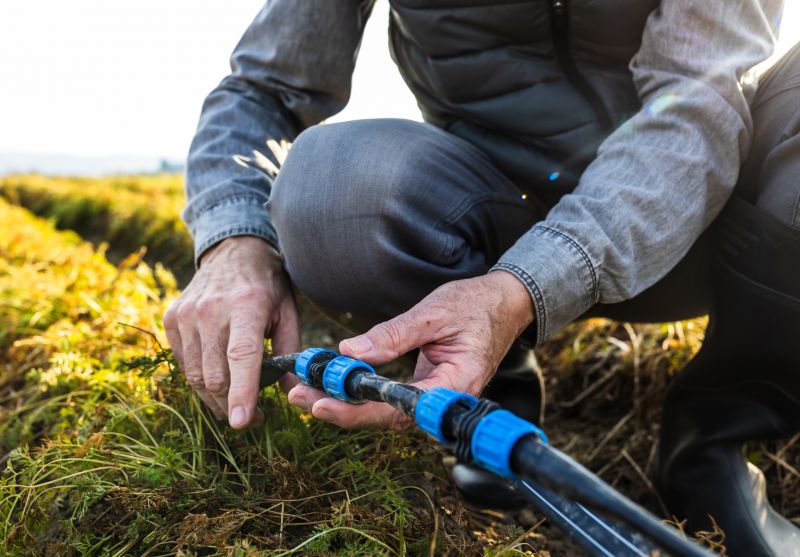 Maintenance and Upkeep